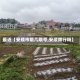 最近【安顺市限几限号,安顺限行吗】