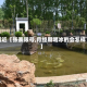 最近【张寨限号,月经期喝冰的会怎样】