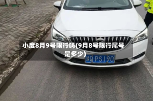 小度8月9号限行吗(9月8号限行尾号是多少)
