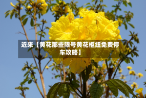 近来【黄花那些限号黄花枢纽免费停车攻略】