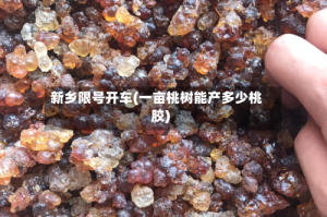 新乡限号开车(一亩桃树能产多少桃胶)