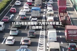 11月9号车牌限号/九号11月不能上白牌吗