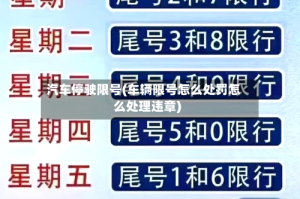 汽车停驶限号(车辆限号怎么处罚怎么处理违章)