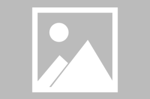 关于晏家营限号的信息