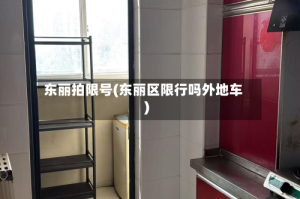 东丽拍限号(东丽区限行吗外地车)