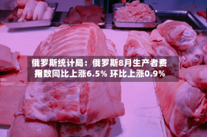 俄罗斯统计局：俄罗斯8月生产者费用指数同比上涨6.5% 环比上涨0.9%