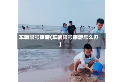 车辆限号旅游(车辆限号旅游怎么办)