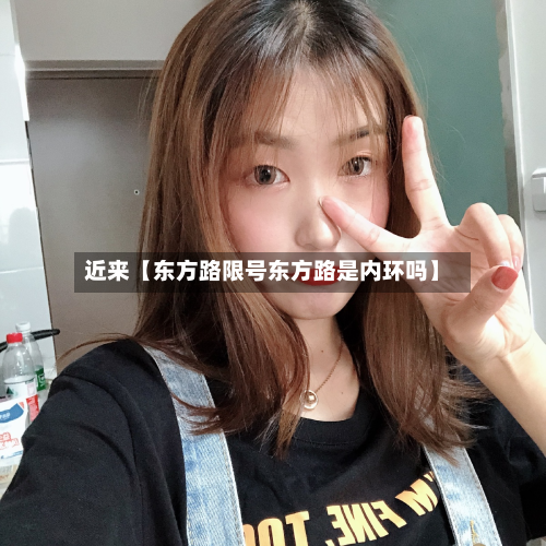 近来【东方路限号东方路是内环吗】-第1张图片