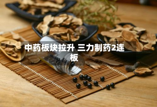 中药板块拉升 三力制药2连板-第2张图片