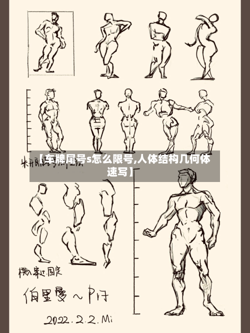 【车牌尾号s怎么限号,人体结构几何体速写】-第3张图片