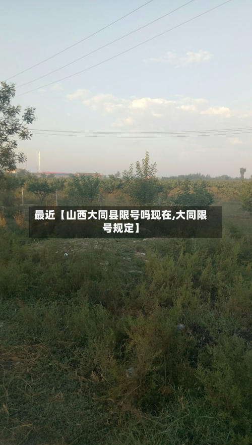 最近【山西大同县限号吗现在,大同限号规定】-第1张图片