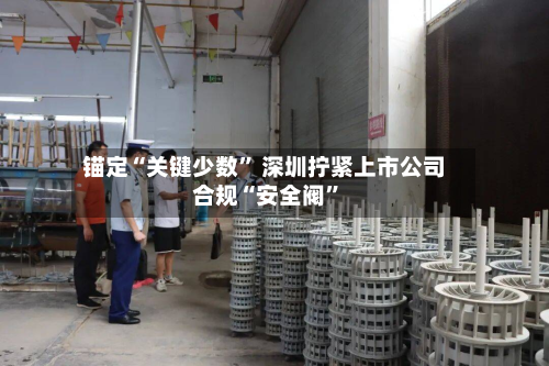 锚定“关键少数” 深圳拧紧上市公司合规“安全阀”-第3张图片