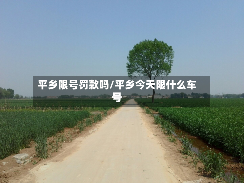 平乡限号罚款吗/平乡今天限什么车号-第1张图片