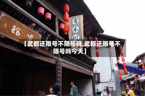 【武都还限号不限号吗,武都还限号不限号吗今天】-第2张图片