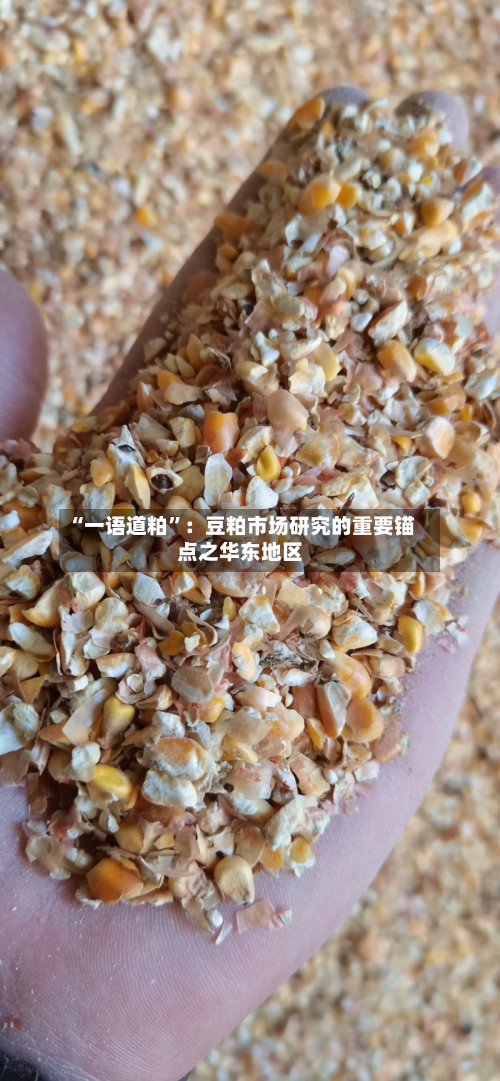 “一语道粕”：豆粕市场研究的重要锚点之华东地区-第2张图片