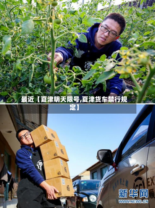 最近【夏津明天限号,夏津货车禁行规定】-第2张图片