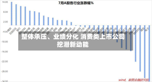 整体承压	、业绩分化 消费类上市公司挖潜新动能-第1张图片
