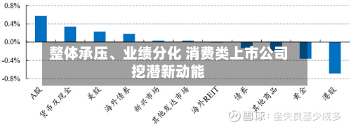 整体承压、业绩分化 消费类上市公司挖潜新动能-第2张图片